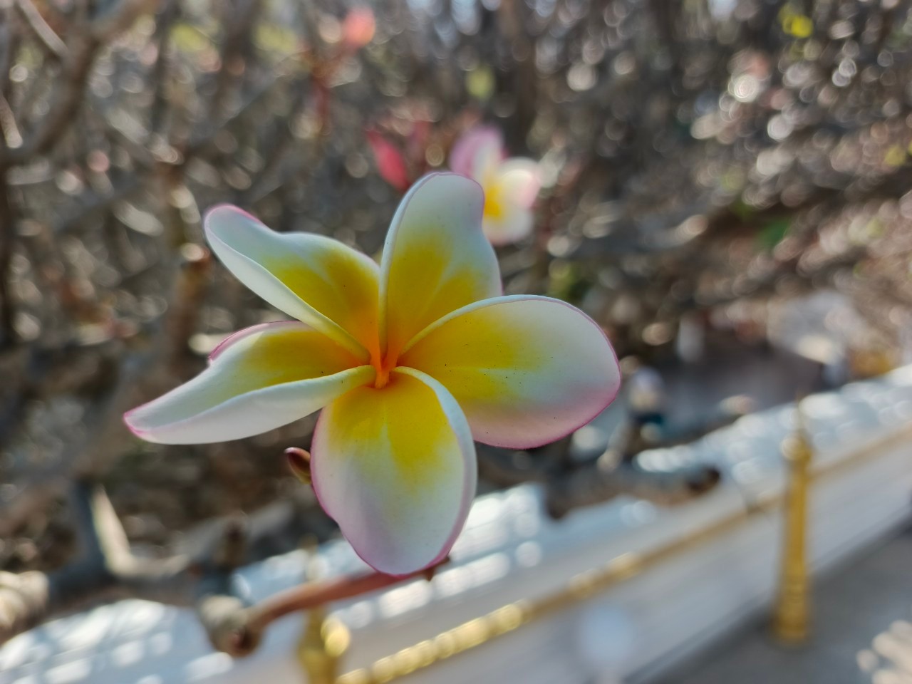 LINE_ALBUM_ALS_250122_78