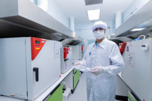 automotive testing standards