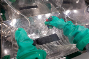 automotive testing