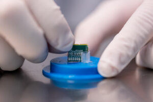 scanning electron microscopy analysis
