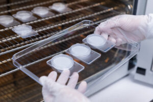 Automotive Testing